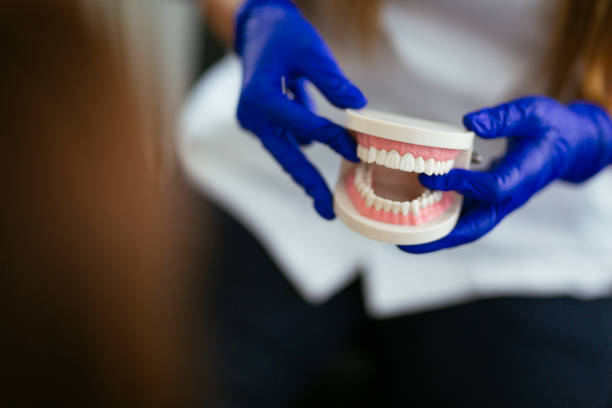 Best Dental Exams and Cleanings  in Tullahoma, TN